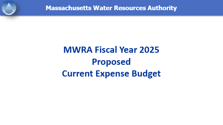 https://www.mwraadvisoryboard.com/wp-content/uploads/2024/03/FY25-Proposed-CEB-and-CIP-Presentation_March-2024-pdf-image.jpg